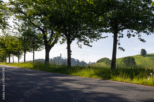 Allee in der Sächsischen Schweiz