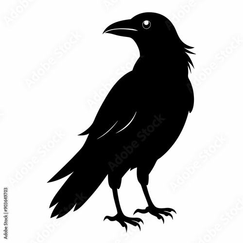Bird Black silhouette