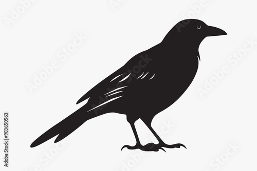 Silhouette bird perched profile