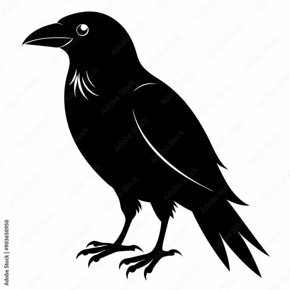 Obraz premium Bird Black silhouette