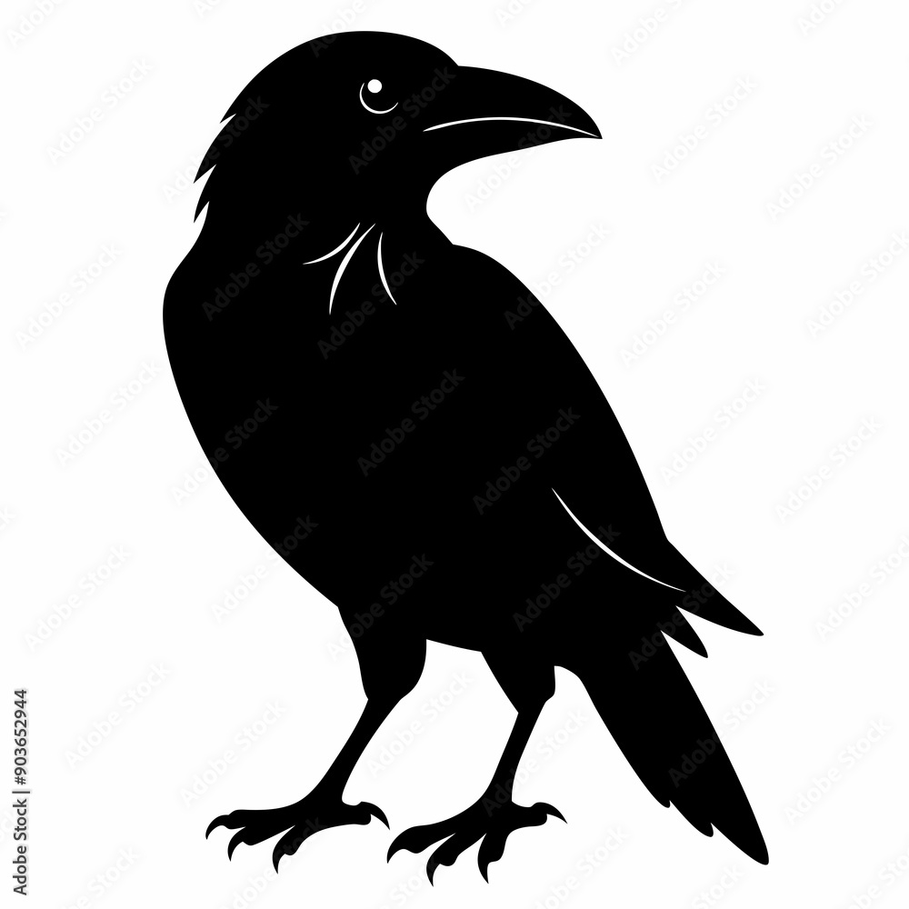 Obraz premium Crow Black silhouette