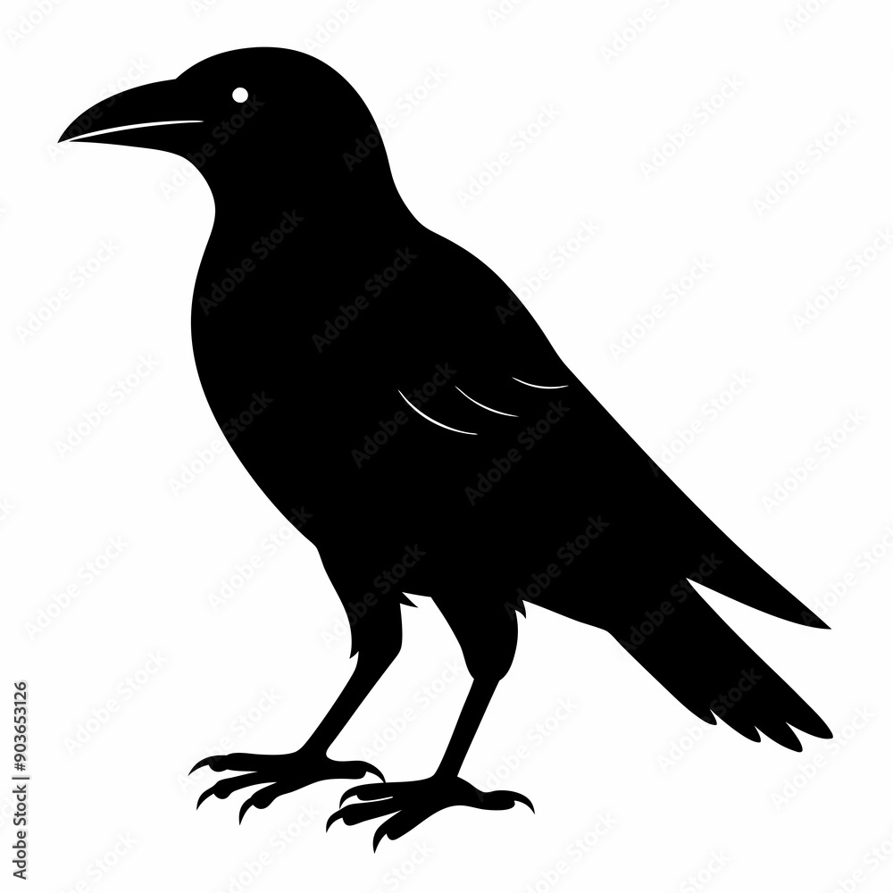 Obraz premium Crow Black silhouette