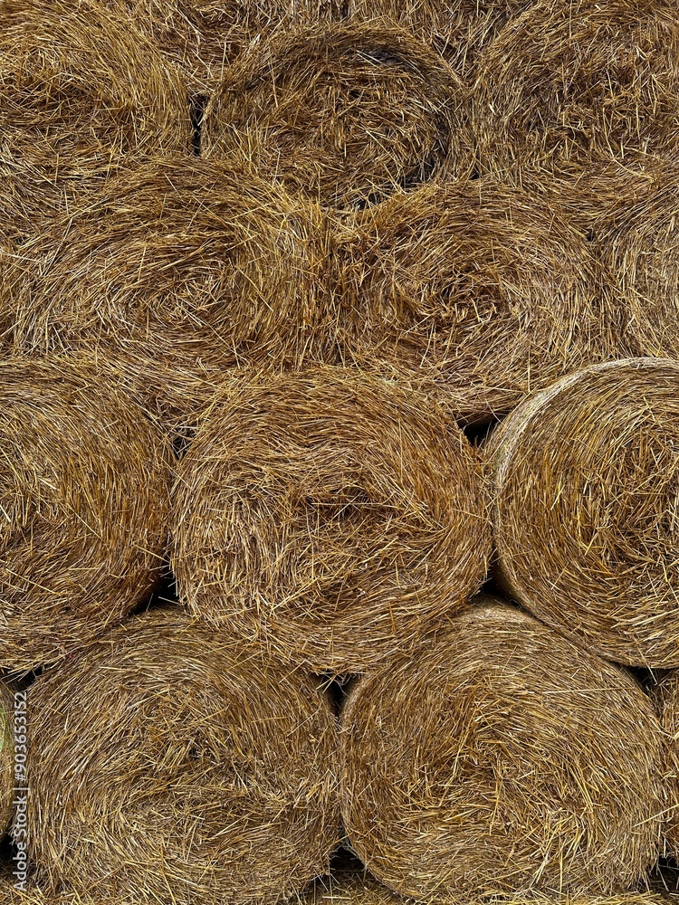 bales of hay bales of hay