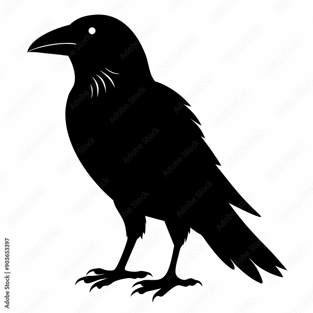 Obraz premium Crow Black silhouette