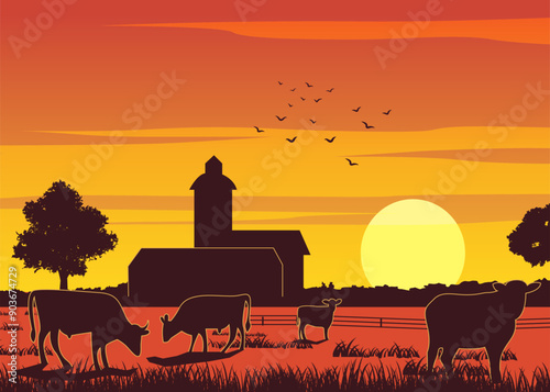 Silhouette design of farm while cows eating the grass on sunset time,vector illustration