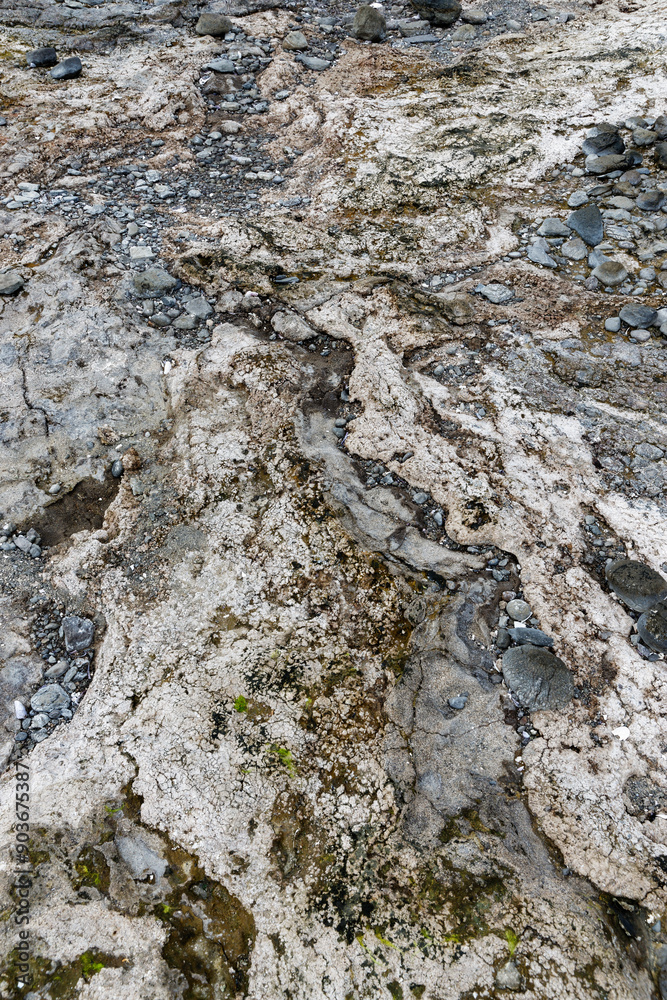Obraz premium Details am Strand, Westfjorde, Island