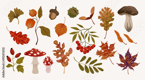 Hand drawn vector autumn elements set. Fall leaves, berries, mushrooms, maple, acorns, oak. Harvest time. Colored trendy illustration. Autumn floral stickers.