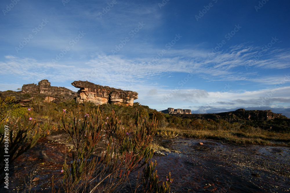 Fototapeta premium River, rock formations and hills on the plateau of Auyan Tepui, in morning light, Venezuela