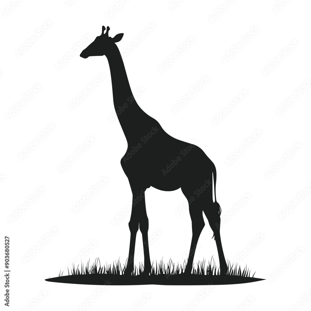 Black and white silhouette of a giraffe on a white background. Black and white silhouette of a giraffe on a white background.