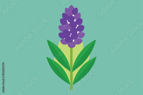 Hyacinth set silhouette vector illustration G.eps
