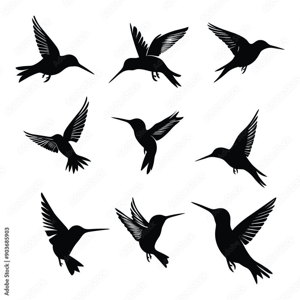 Fototapeta premium Set of nine hummingbird silhouettes isolated on white background.