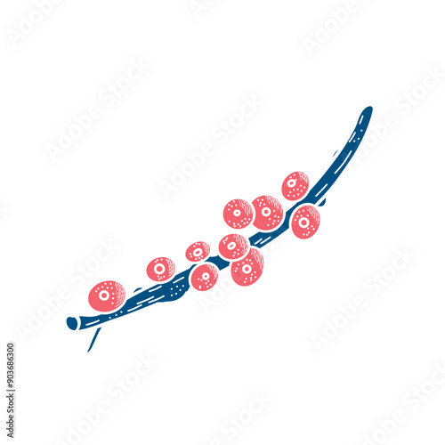 Cute red wild berry, hand drawing element, isolated, decor element 