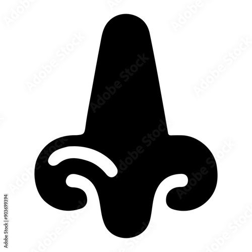 Nose