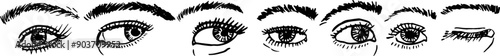 Expressive eyes hand drawing. Eyebrows eyelashes look. Vector illustration.	

