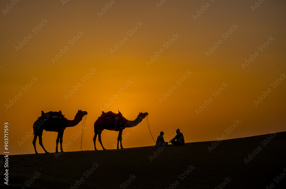 Rajasthan - Indian cameleers (camel drivers) with camel silhouette in Sam sand dunes of Thar desert on sunset. Jaisalmer, Rajasthan, India, Asia. Travel background.