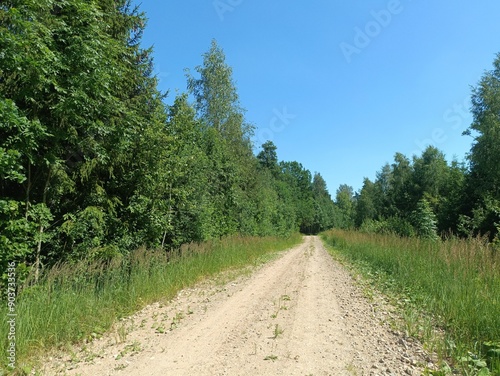 Road in forest in Siauliai county during sunny summer day. Oak and birch tree woodland. Sunny day with white clouds in blue sky. Bushes are growing in woods. Sandy road. Nature. Summer season. Miskas.