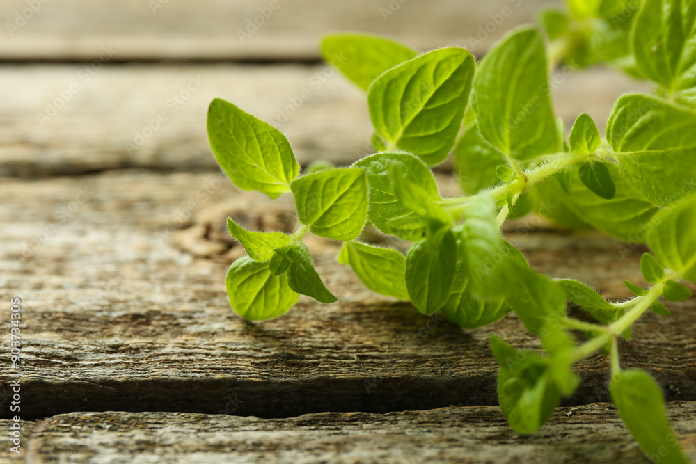 Sprigs of fresh green oregano on wooden table, closeup Sprigs of fresh green oregano on wooden table, closeup
