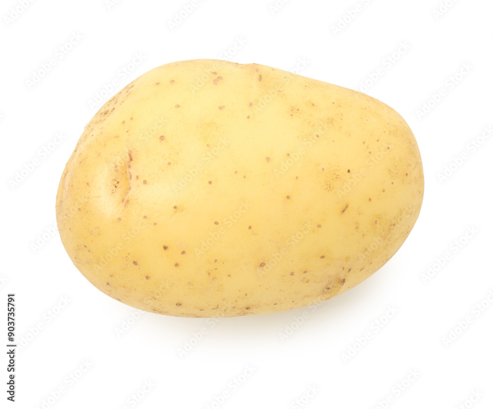 One fresh young potato isolated on white, top view One fresh young potato isolated on white, top view