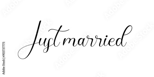 Just Married Vector Design Isolated on Transparent Background – Perfect for Wedding Invitations and Decorations