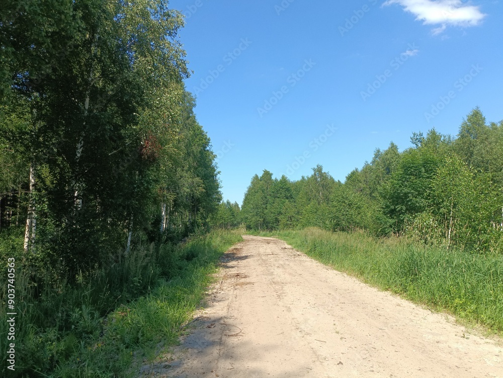 Road in forest in Siauliai county during sunny summer day. Oak and birch tree woodland. Sunny day with white clouds in blue sky. Bushes are growing in woods. Sandy road. Nature. Summer season. Miskas. Road in forest in Siauliai county during sunny summer day. Oak and birch tree woodland. Sunny day with white clouds in blue sky. Bushes are growing in woods. Sandy road. Nature. Summer season. Miskas.