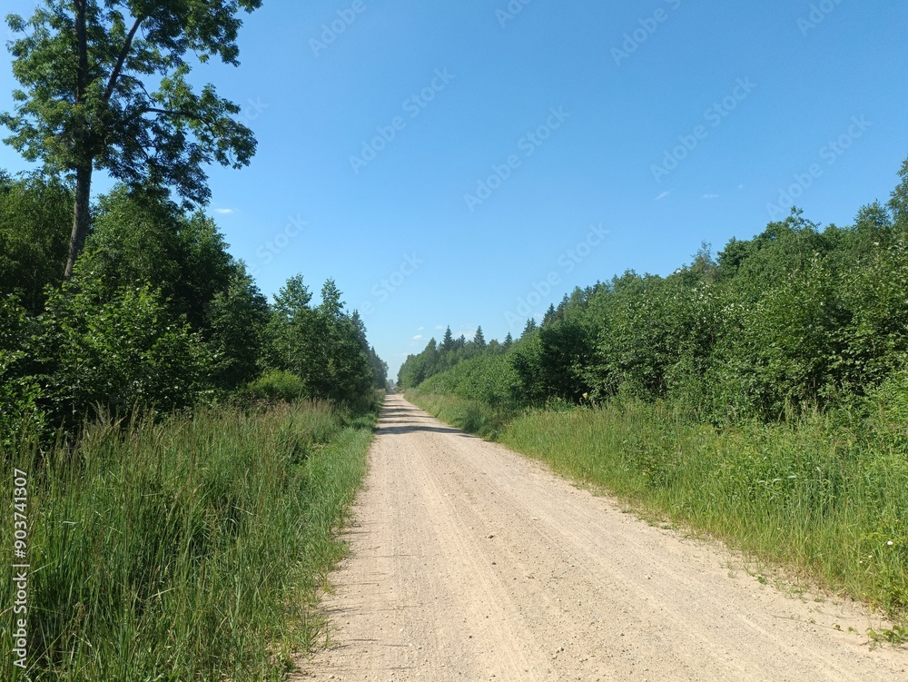 Road in forest in Siauliai county during sunny summer day. Oak and birch tree woodland. Sunny day with white clouds in blue sky. Bushes are growing in woods. Sandy road. Nature. Summer season. Miskas. Road in forest in Siauliai county during sunny summer day. Oak and birch tree woodland. Sunny day with white clouds in blue sky. Bushes are growing in woods. Sandy road. Nature. Summer season. Miskas.