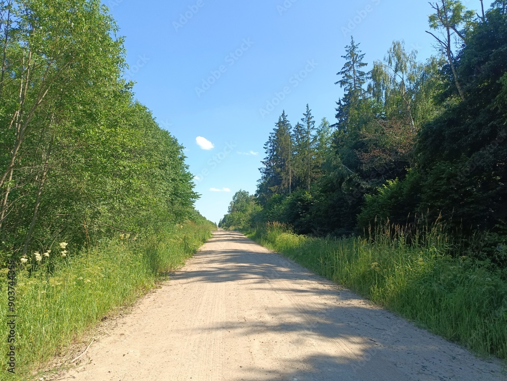 Road in forest in Siauliai county during sunny summer day. Oak and birch tree woodland. Sunny day with white clouds in blue sky. Bushes are growing in woods. Sandy road. Nature. Summer season. Miskas. Road in forest in Siauliai county during sunny summer day. Oak and birch tree woodland. Sunny day with white clouds in blue sky. Bushes are growing in woods. Sandy road. Nature. Summer season. Miskas.