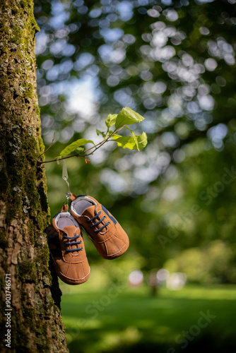 baby shoes hanging on tree