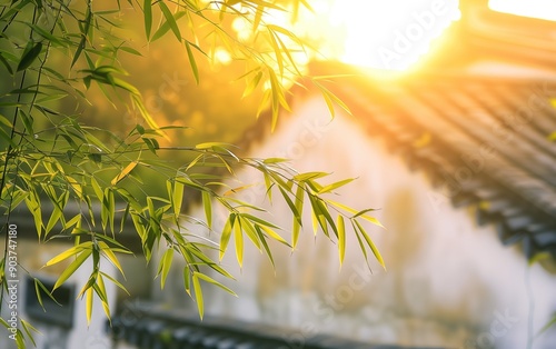 Bamboo and white wall,created with Generative AI tecnology.