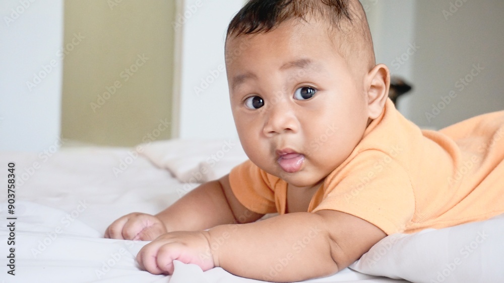 Fat and healthy Asian baby boy Fat and healthy Asian baby boy