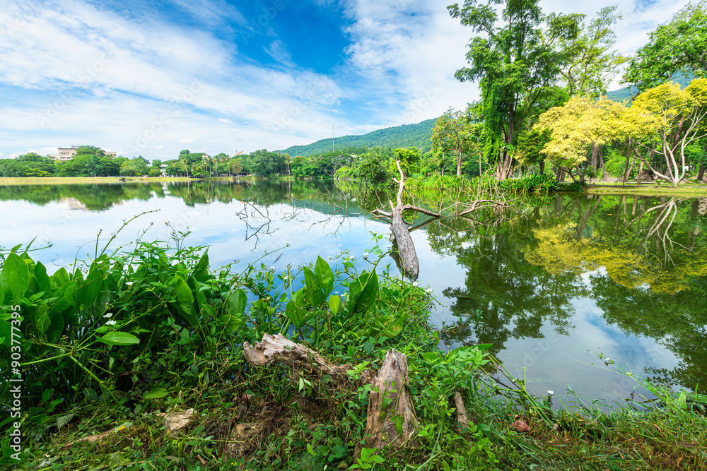 a public place leisure travel landscape lake views at Ang Kaew Chiang Mai University and Doi Suthep nature forest Mountain views spring cloudy sky background with white cloud. a public place leisure travel landscape lake views at Ang Kaew Chiang Mai University and Doi Suthep nature forest Mountain views spring cloudy sky background with white cloud.