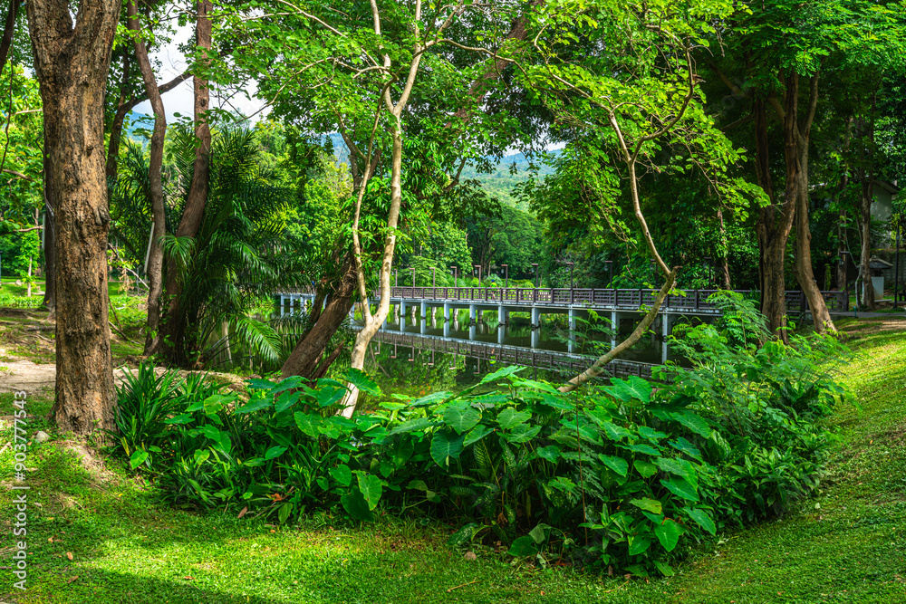 a public place leisure travel green nature landscape the wooden bridge lake views at Ang Kaew Chiang Mai University and Doi Suthep nature forest Mountain views spring cloudy sky background