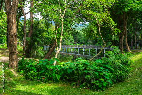 Obraz na płótnie a public place leisure travel green nature landscape the wooden bridge lake views at Ang Kaew Chiang Mai University and Doi Suthep nature forest Mountain views spring cloudy sky background w salonie