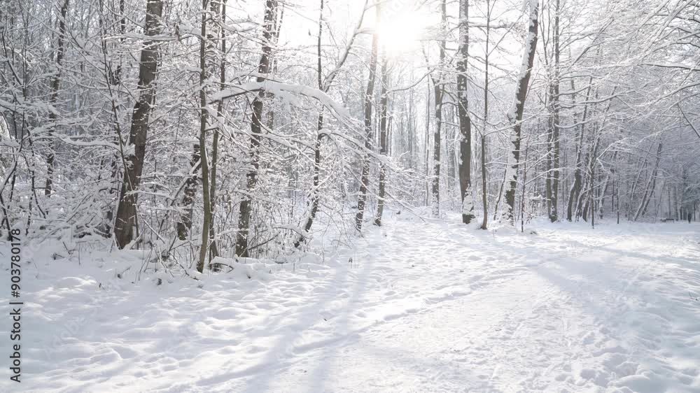 Winter season snowy city park covered with fresh snow during a sunny day morning. No people quate scene 4k video. Winter season snowy city park covered with fresh snow during a sunny day morning. No people quate scene 4k video.
