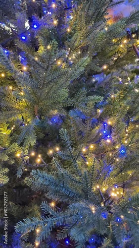 The Christmas tree is decorated with lights