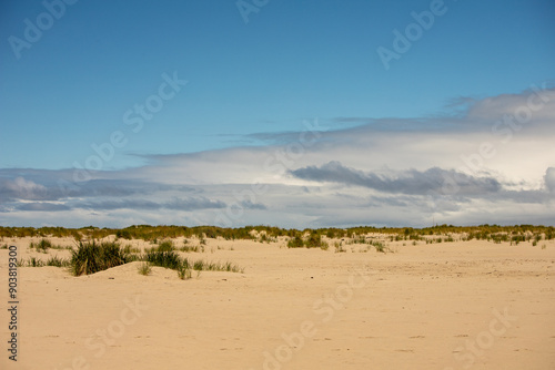 Serene Beach Landscape with Fluffy Clouds and Dunes