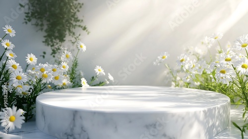 White Marble Podium with Daisies and Sunlight