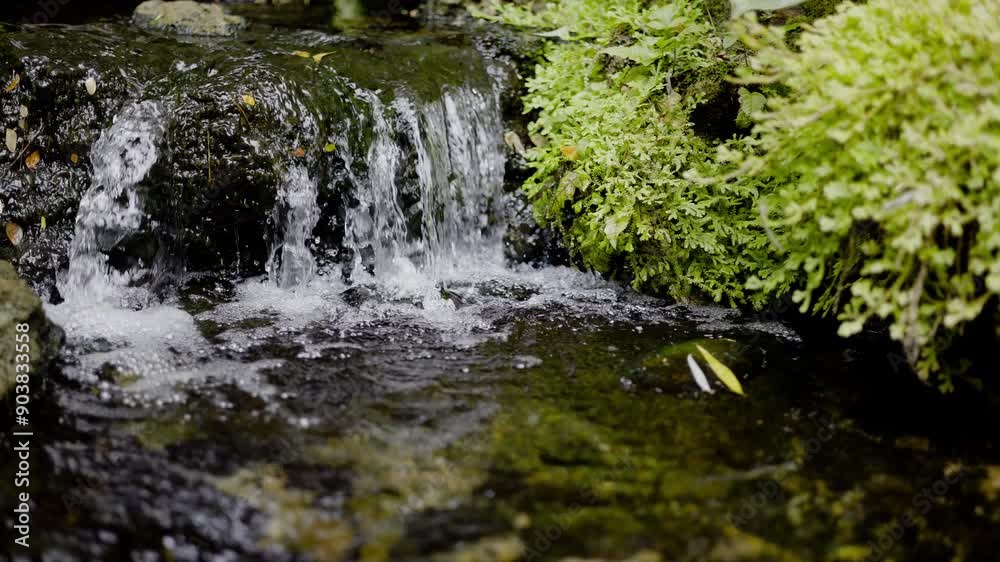 Background of streaming waterfall. Green moss covered enchanting river flowing alongside mossy tree trunks and stones. Background of streaming waterfall. Green moss covered enchanting river flowing alongside mossy tree trunks and stones.
