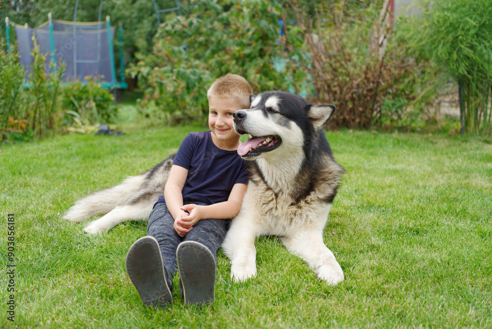 A boy with a dog on a green grass meadow