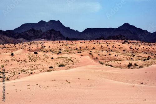 Wadi Araba Desert