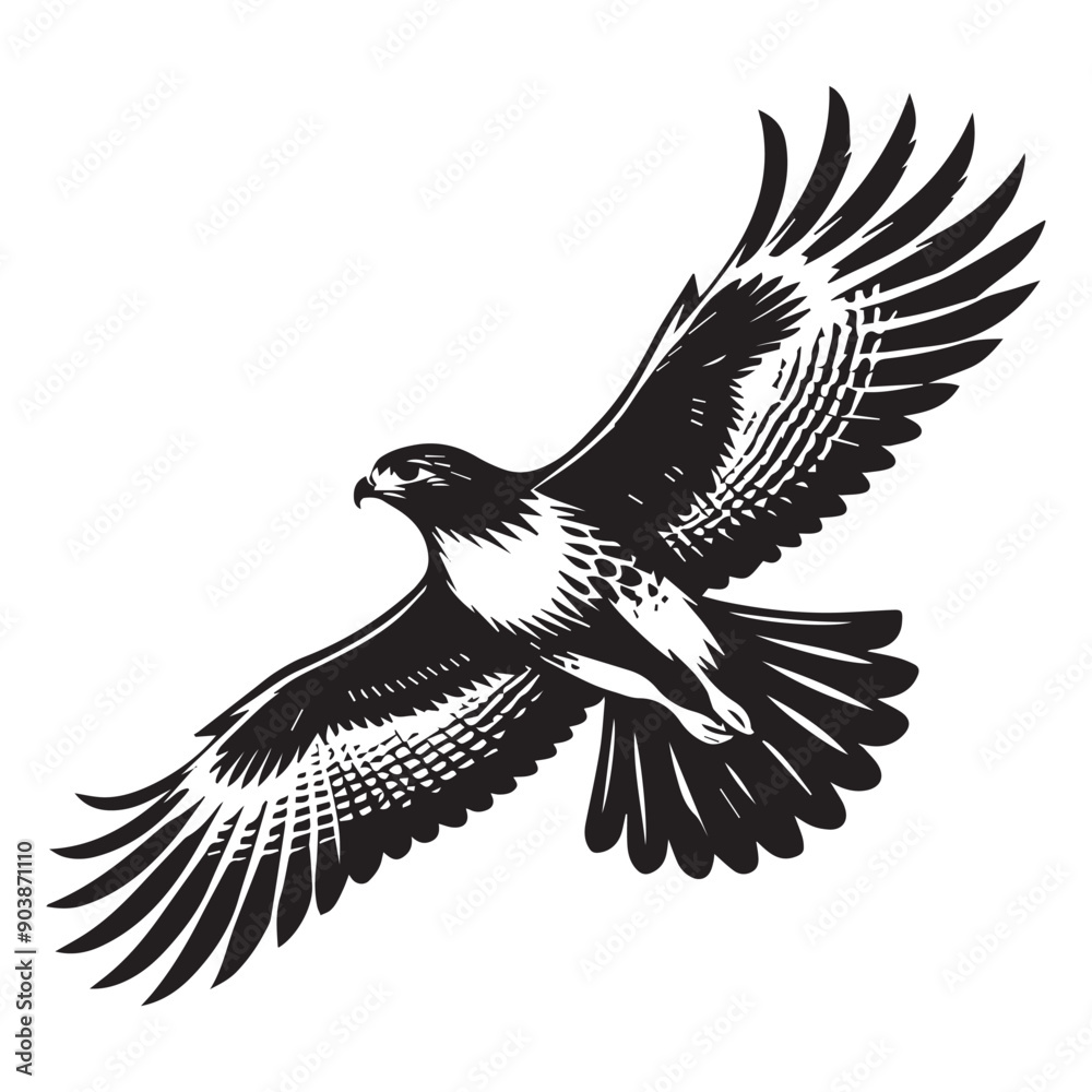 Fototapeta premium Red-tailed hawk Silhouette, Eagle Clipart, Red-tailed hawk Soaring vector illustration