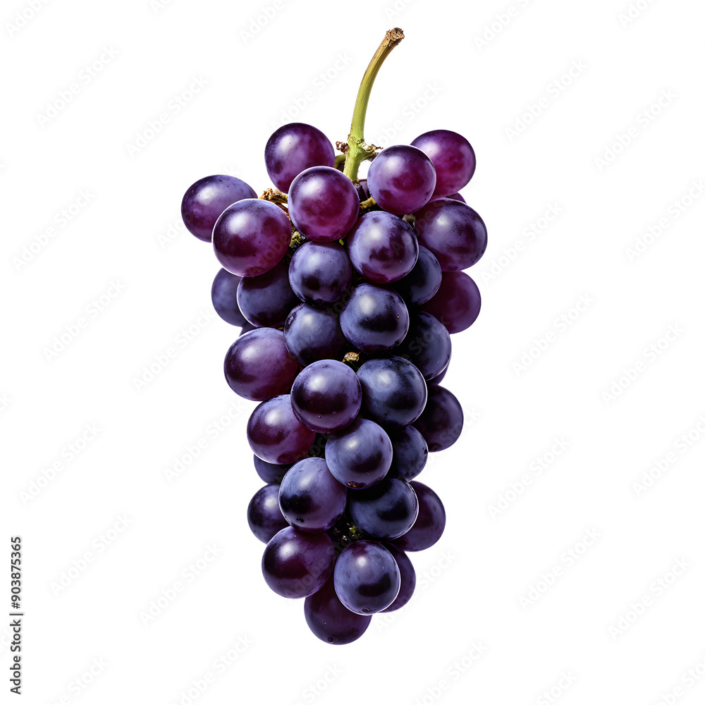 purple grape, isolated on transparent background, clipping path, full depth of field
purple grape, isolated on transparent background, clipping path, full depth of field
