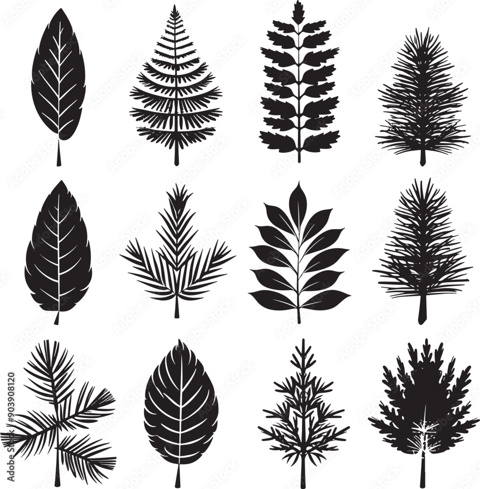 set of silhouettes of leaves Pine tree vector silhouette tree vector
