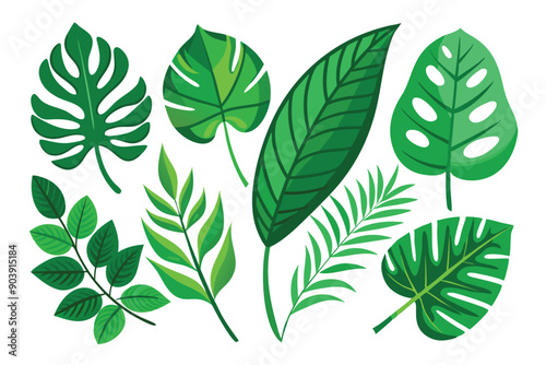 Set leaves green tropical white background