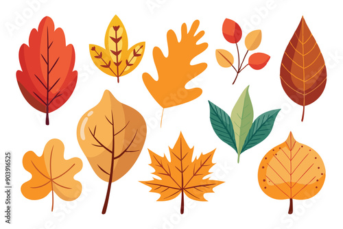 Assorted autumn leaves, single minimal design.
