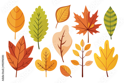 Set of assorted autumn leaves isolated on white background. Single minimal autumn leaf design element.