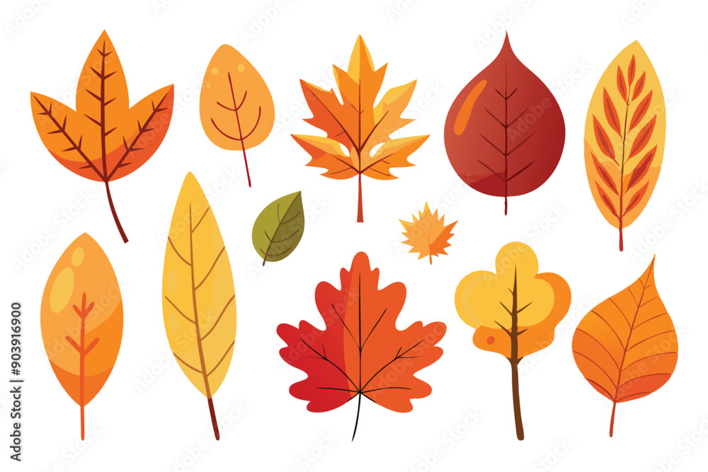 Single minimal set of assorted autumn leaves Single minimal set of assorted autumn leaves