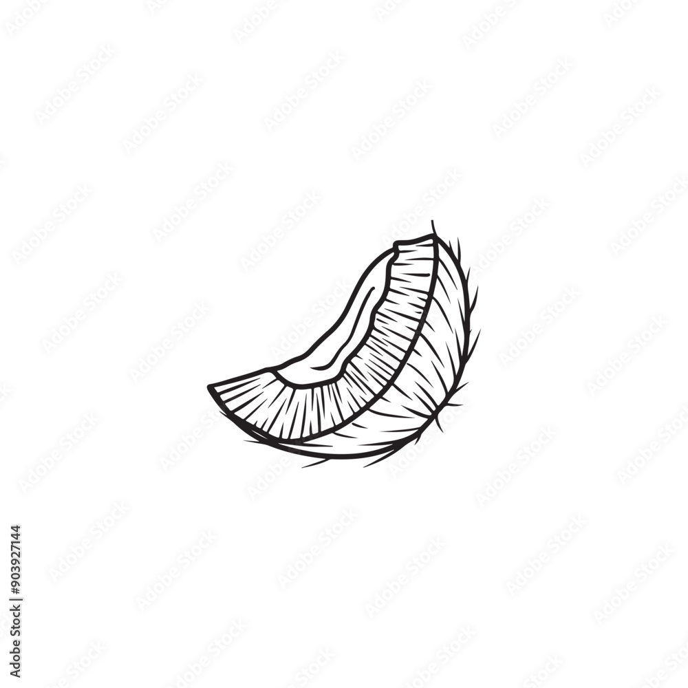 Realistic part of coconut for eating in black isolated on white background. Hand drawn vector sketch illustration in doodle engraved vintage line art style. Ingredient for cocktail, bakery, desserts Realistic part of coconut for eating in black isolated on white background. Hand drawn vector sketch illustration in doodle engraved vintage line art style. Ingredient for cocktail, bakery, desserts