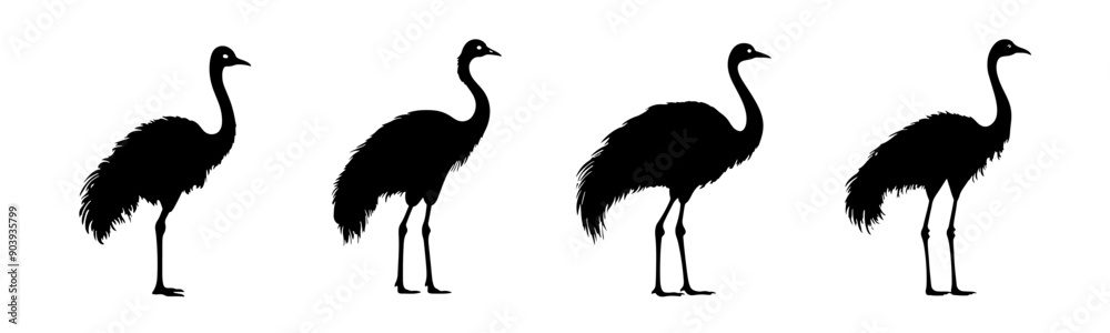 Black peacock silhouette cutout. Set of peacock animal silhouette on transparent background Black peacock silhouette cutout. Set of peacock animal silhouette on transparent background