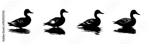 Black duck silhouette cutout. Set of duck animal silhouette on transparent background
