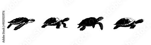 Black turtle silhouette cutout. Set of turtle animal silhouette on transparent background